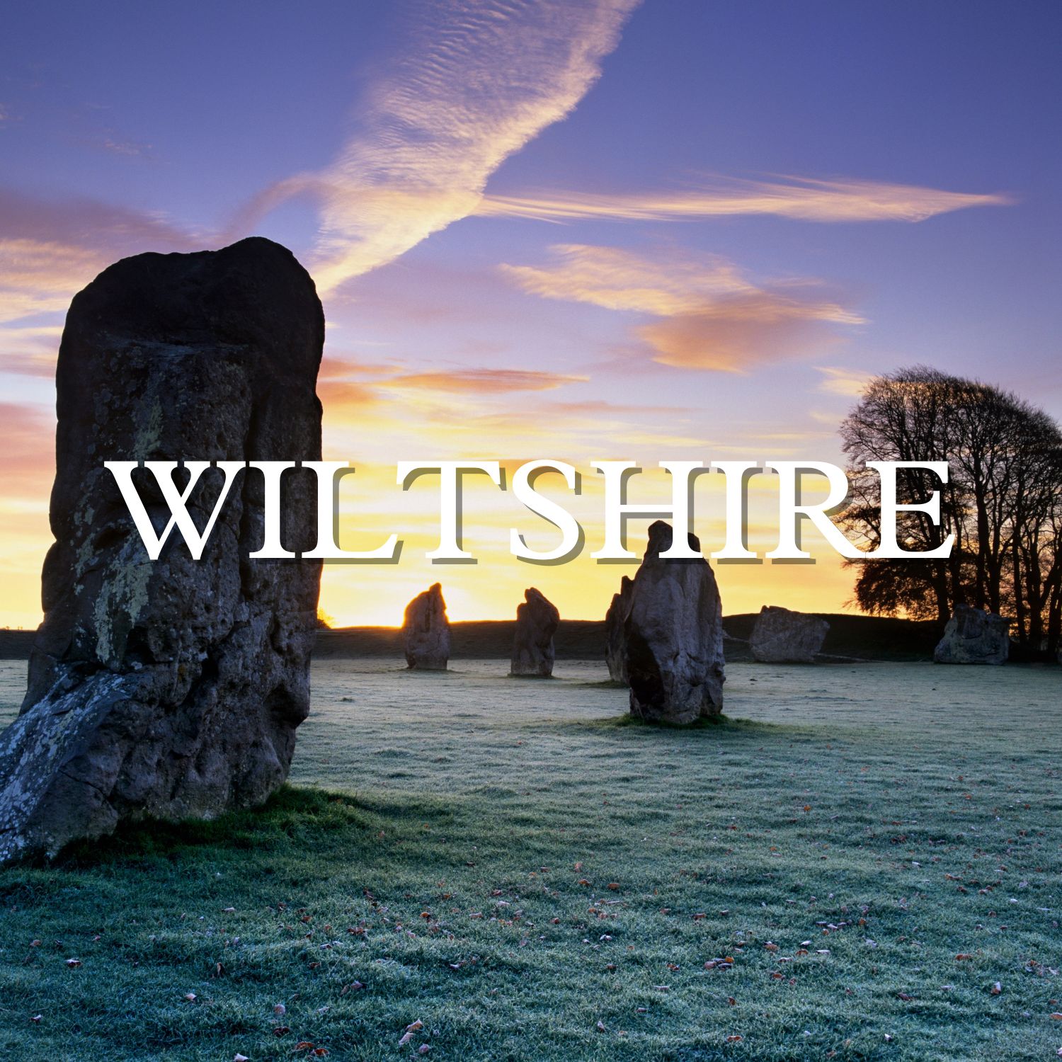 Wiltshire